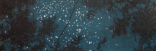 luciacernuda's profile banner image