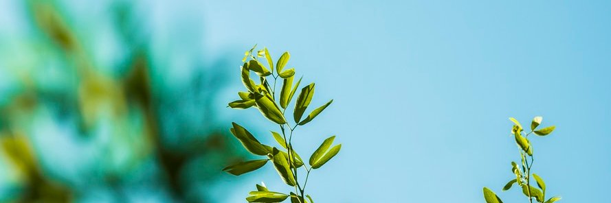 EnvironmentErie's profile banner image