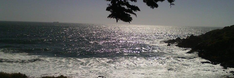 Patocolosia's profile banner image
