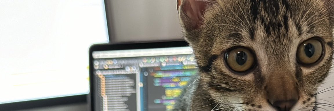 seniorgato's profile banner image