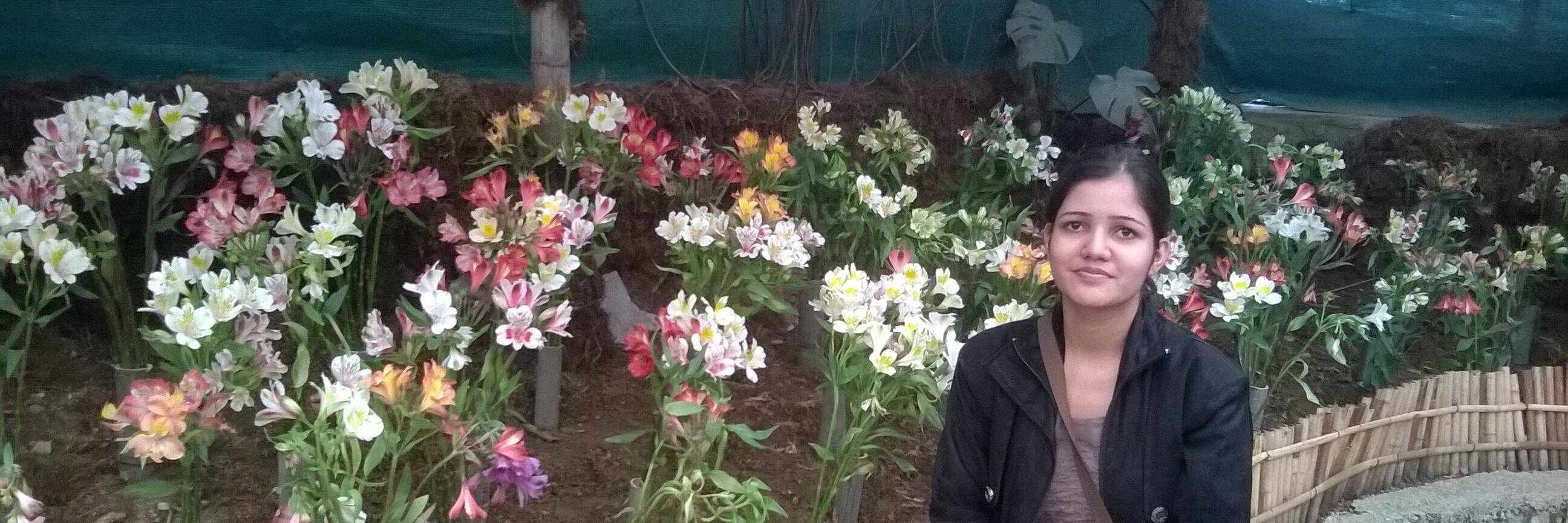 shilpinitjsr's profile banner image