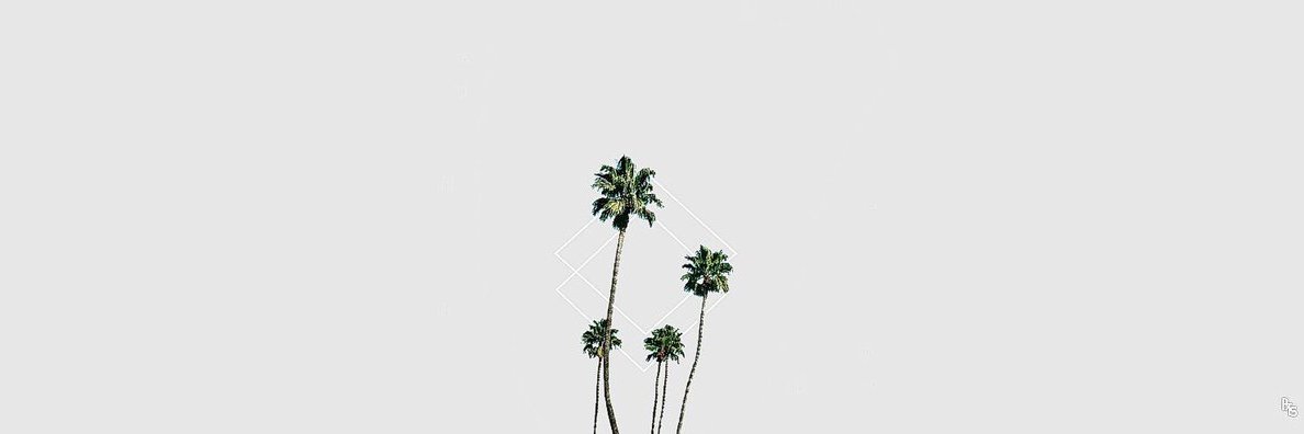 Hannah Butler banner