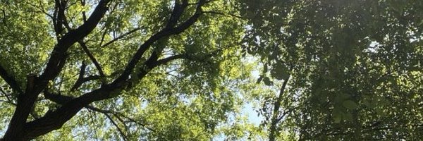 pirigute Profile Banner