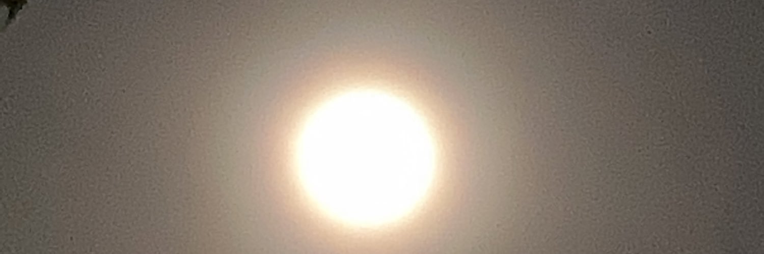 JonGotti11's profile banner image