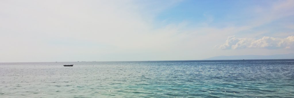 Amanda Boyd banner