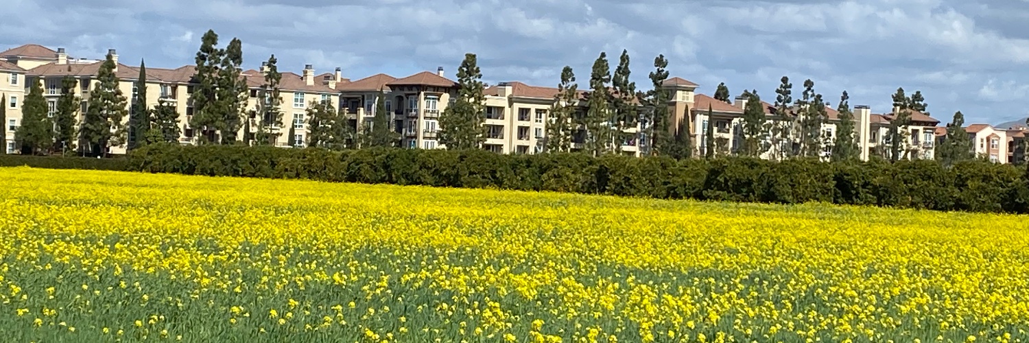 paaruni banner