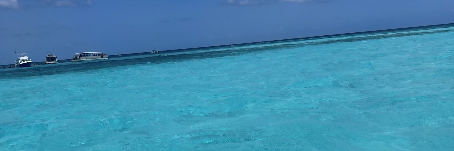 steffani banner