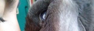 trececosmos's profile banner image