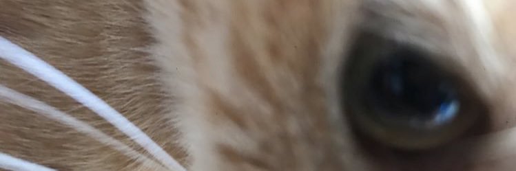 mimimimi7251's profile banner image
