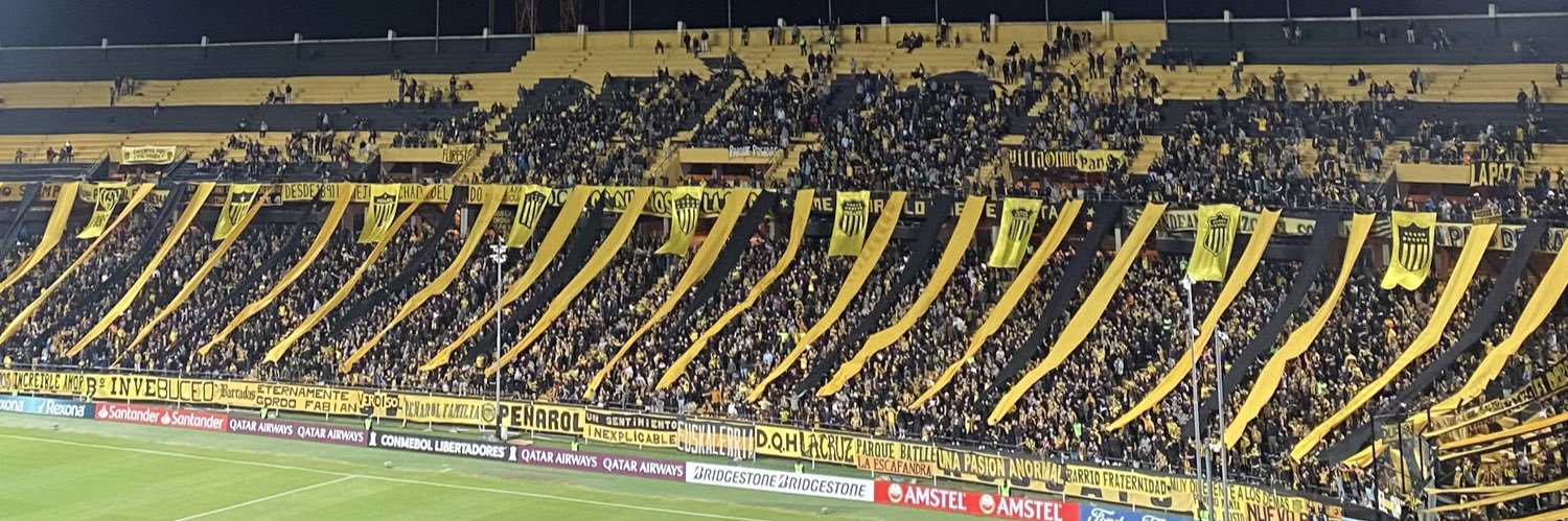 santozz19's profile banner image