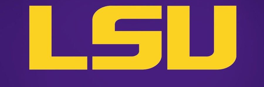 AmberIs4LSU banner