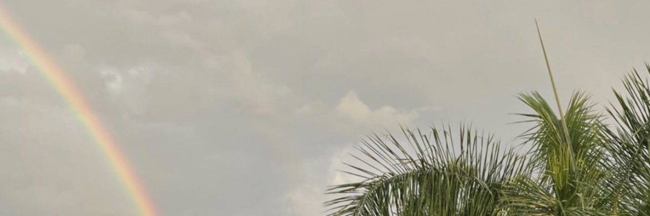 akseditions's profile banner image