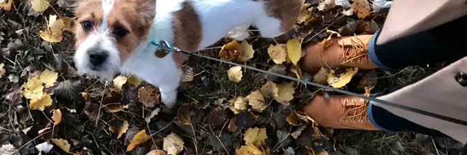 charrrliii's profile banner image