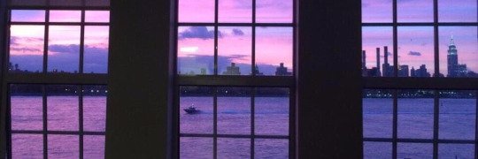 tall_flower's profile banner image