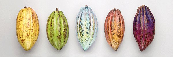 AnnoukPost Profile Banner