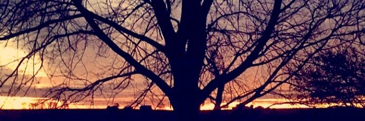 Emily Schmidt banner