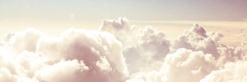 zoeraec's profile banner image