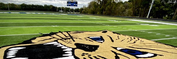 LMHS_Football Profile Banner