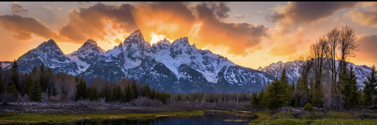 Sir Dallas Bitton ™ banner