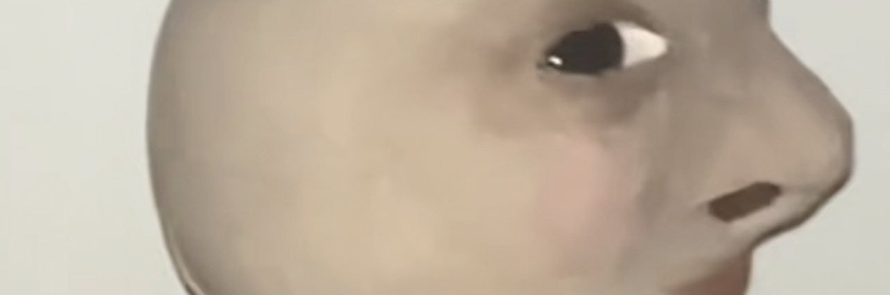 papa bird 🕊️ banner