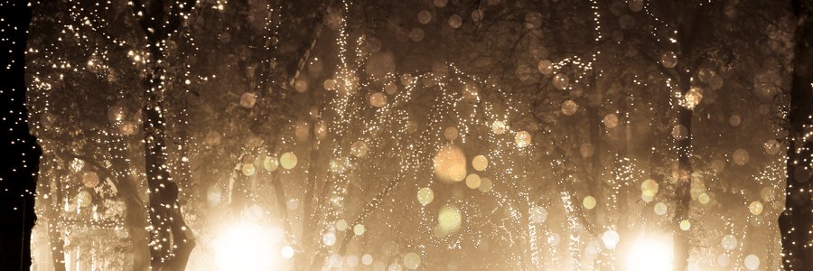 sgimenez_rey's profile banner image