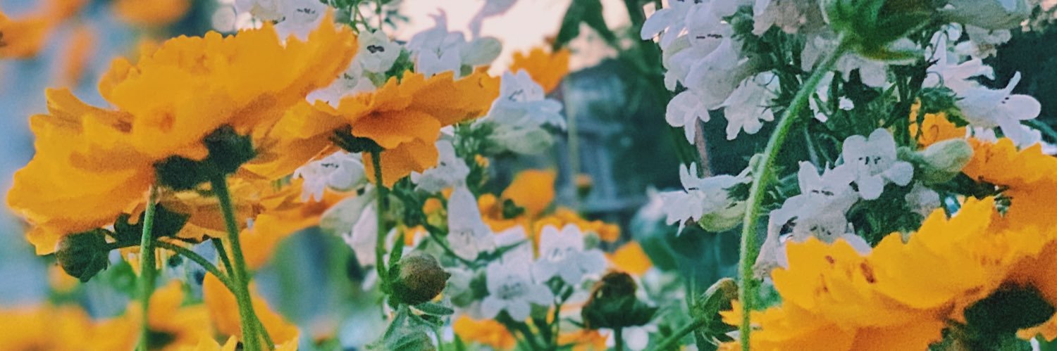 essie07's profile banner image