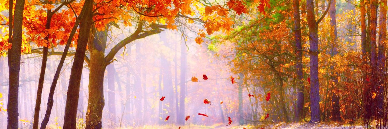 _ori_98's profile banner image