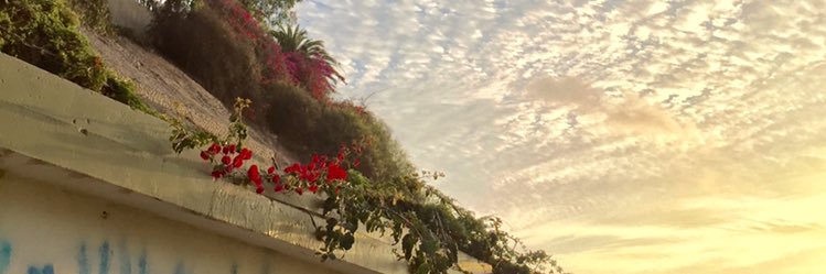 FernandaTangoa's profile banner image
