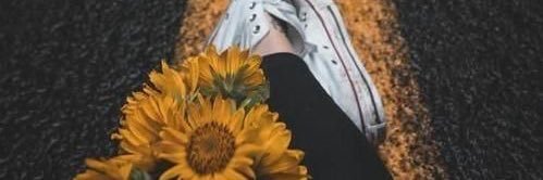 AlyssaGoodman20's profile banner image