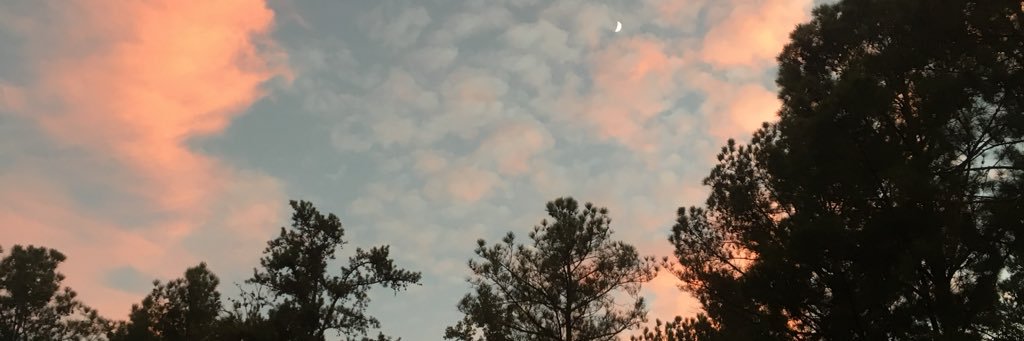 ruth_hunter18's profile banner image
