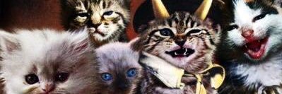 odaare_'s profile banner image
