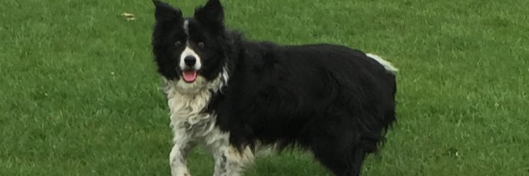 willdenby92's profile banner image