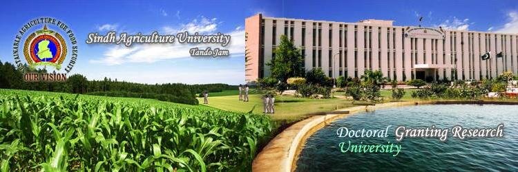 sau_official's profile banner image