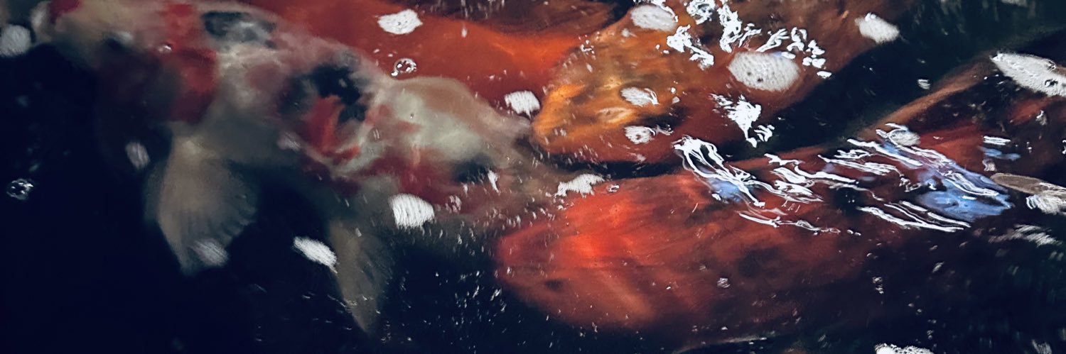 _Adrienne__'s profile banner image