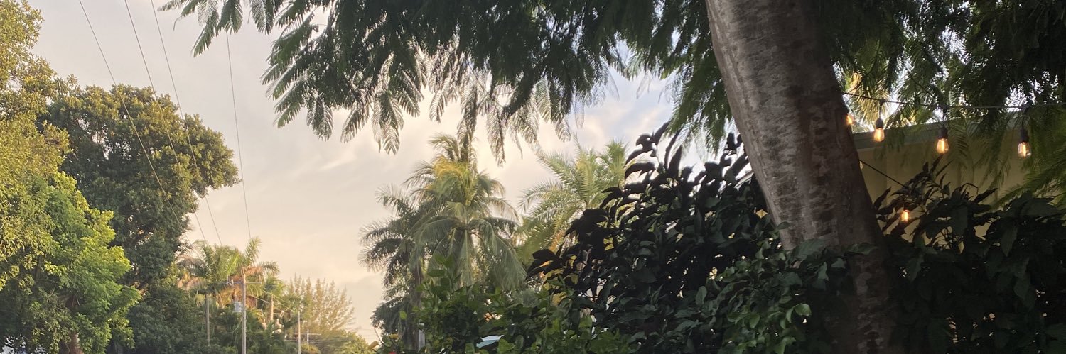 maddydiedrick's profile banner image