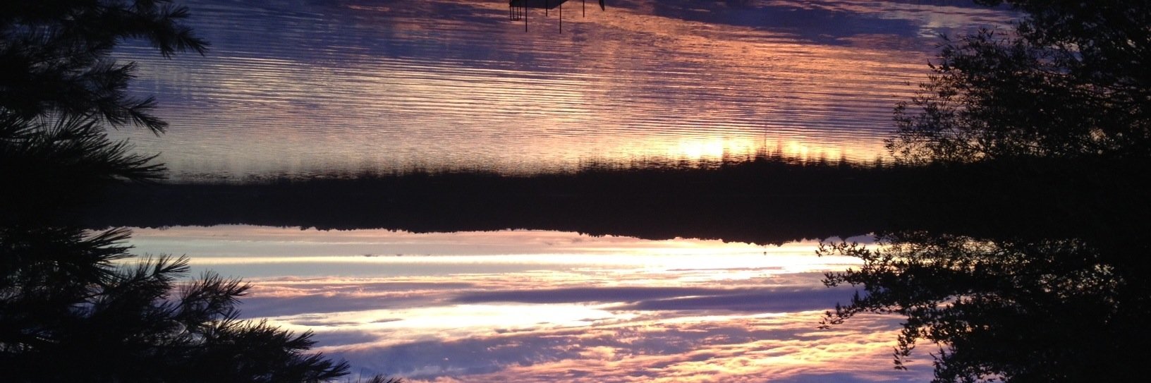 daniellepren's profile banner image