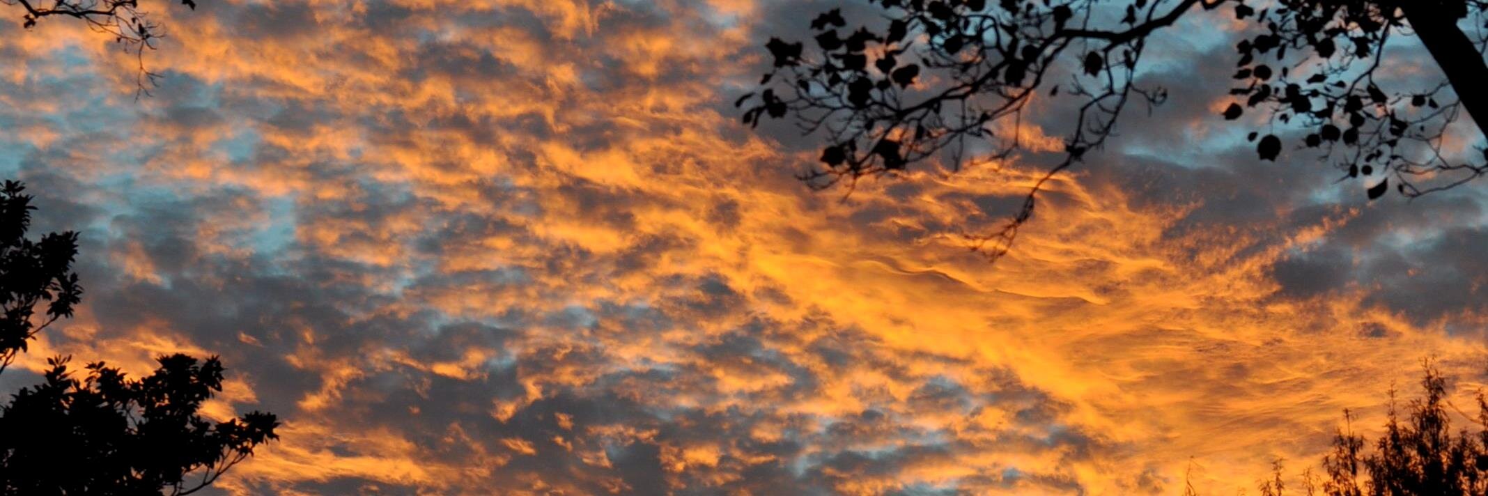 podestad's profile banner image