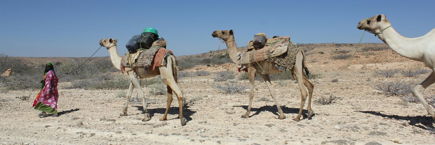 yhassan_'s profile banner image