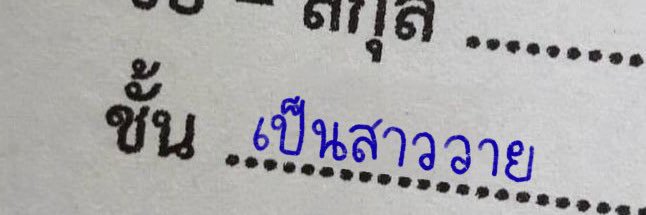 darathy—𐙚 banner