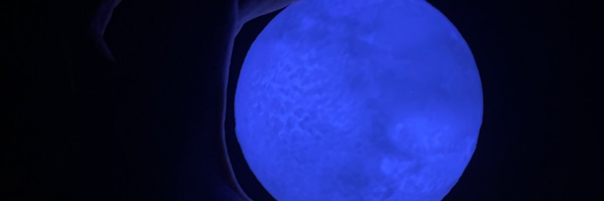 Soncoxku703's profile banner image