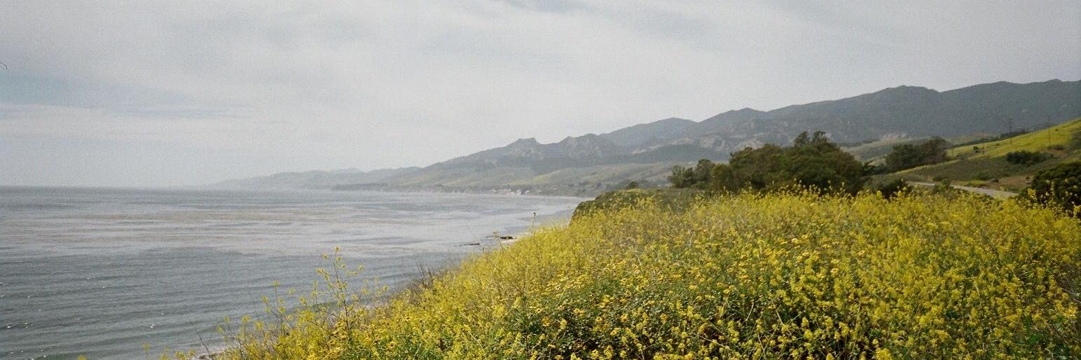 candace kim banner
