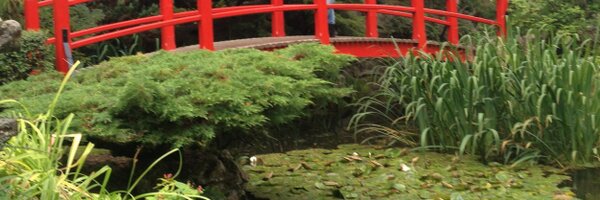 bronactitley Profile Banner