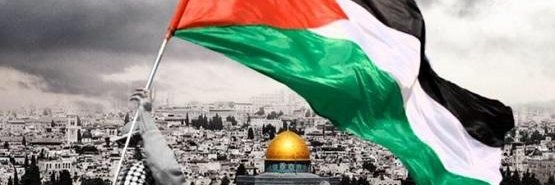 🇧🇷MURAD SNOUBAR🇵🇸♿ banner