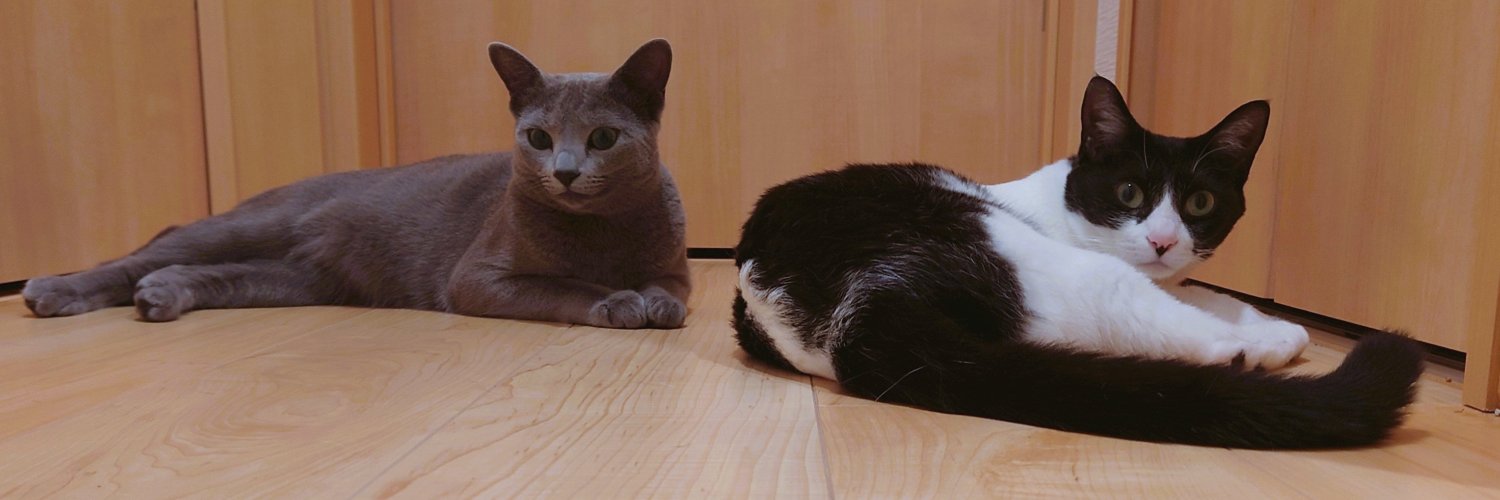 そりむらようじ／ゲチ子（冬コミ新刊電子版発売中）🐈🌼🎷 banner