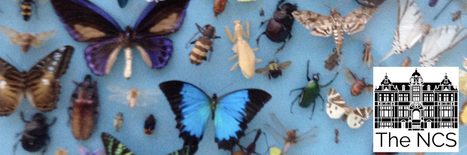 MrsMarkoulides's profile banner image