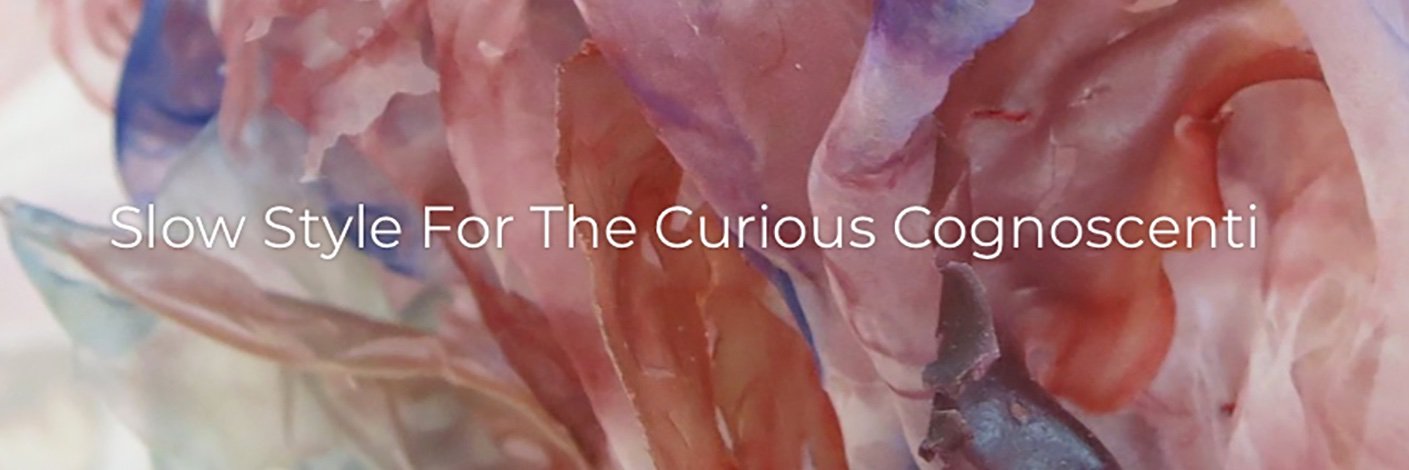 ShopCurious banner