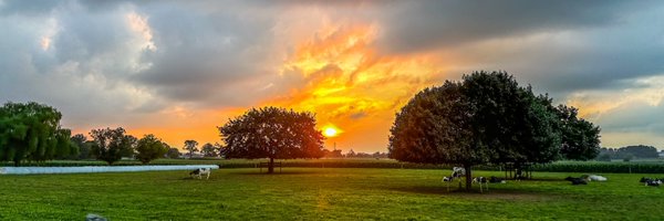roohmanc Profile Banner