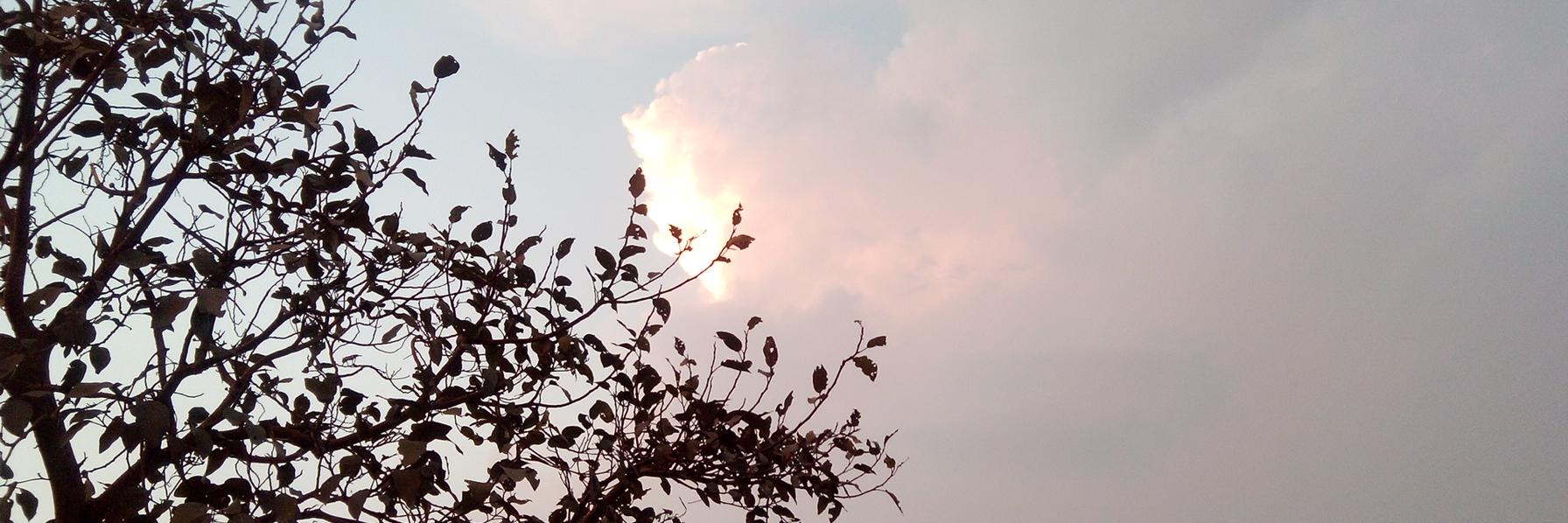 kitoomal's profile banner image