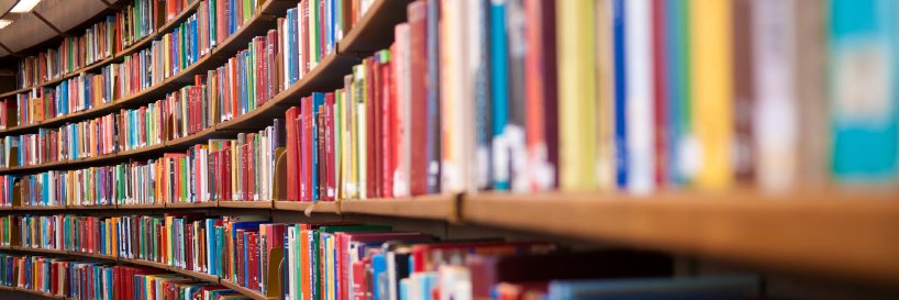 Fernanda Martinez banner