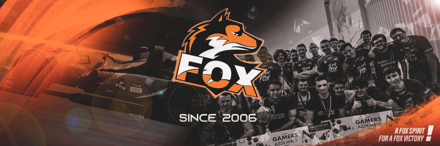 TEAM-FOX banner